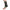 Sports Ankle Brace Compression Sleeve for Foot Support